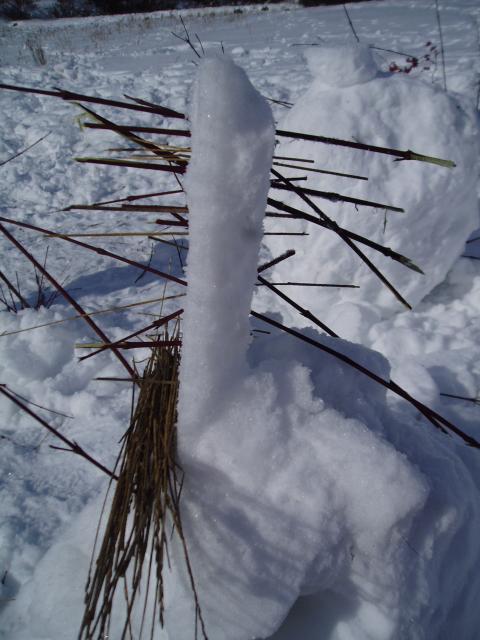 PC070049
